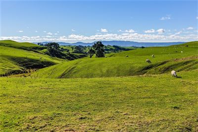 In der Nähe von Hobbiton